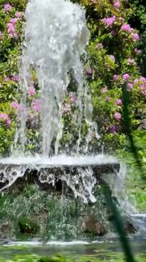 Bir yaz günü, gün batımında, arka plandaki bir ışıkta, bir park çeşmesinin tepesinden gölete su kayar. Yüksek kalite 4k görüntü