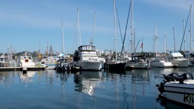 Victoria, Canada Marina 'daki balıkçı iskelesinde. Yüksek kalite 4k görüntü