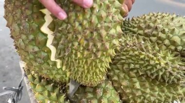 Bir karton üzerinde durian meyvesi tutan biri. Dikenli yeşil meyveyi açmak için bıçak kullanıyor. Yüksek kalite 4k görüntü