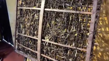 Dut yapraklarındaki tırtıl larvalarının kozasından başlayan ipek üretimi makineler ve bitmiş ürünlerle bitiyor. Makineler ipek iplik gerer, insan kumaşı olmaz. Hoi An