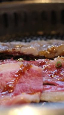 Izgara Lezzetli Barbekü. Kömür Souvlaki 'de Piknik yaparken Metal Biftek Şişi. Street Food Grill 'de. Izgarada marine edilmiş Shashlik Souvlaki. Izgara barbekü eti ateşte. Kızarmış Et Bbq Izgarası