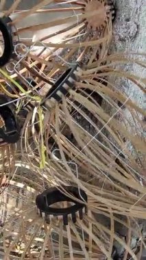 Vietnam 'da fener yapıştırma Hoi 05.05.2025