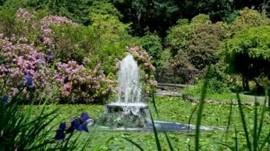 Doğal fıskiyeler ve nilüfer çiçekleri ile doğal nilüfer havuzu huzurlu bir ortamda su nilüferlerinin ve huzurlu su bitkilerinin güzelliğini yakalıyor, rahatlığı artırıyor ve doğayla bağ kuruyor.