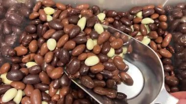 Çikolata kaplı fındık tatlı fındık. Yüksek kalite 4k görüntü