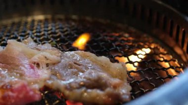 Leningrad Oblastı, Rusya - 31 Ekim 2024, et ve sebzelerin yavaş çekimde ızgarada kızarmasını yakından izleyin. Yüksek kalite 4k görüntü