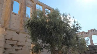 Atina, Parthenon, güneşli Akropolis, Yunanistan 'ın Havadan Görüntü Çekimi Kuruluyor. Yunanistan Atina Akropolü