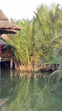 Etrafı bereketli palmiye ağaçları ile çevrili yuvarlak tekneler, yerel kültür ve sakin doğayı gözler önüne seriyor. Renkli yuvarlak tekneler Hoi An, Vietnam 07.24.2025