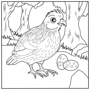Yumurtalı güzel bir bıldırcın boyama sayfası. Çocukların yaratıcı aktiviteleri ve kuşlar hakkında bilgi edinmeleri için dostane bir kuş taslağı.