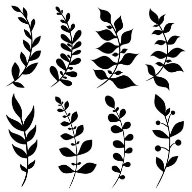 Çeşitli bitki dalları ve yaprak siluetleri. Doğadan esinlenilmiş tasarımlar, botanik çizimler ve dekoratif elementler için mükemmel.