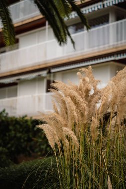 Arka planda güzel bir İspanyol tatil köyü olan yumuşak kumun yakın çekimi doğal güzelliğin ve lüks mimarinin mükemmel bir karışımını yakalıyor.