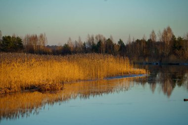 A serene sandy riverbank stretches beneath a stunning sky, capturing the beauty of nature in perfect harmony clipart