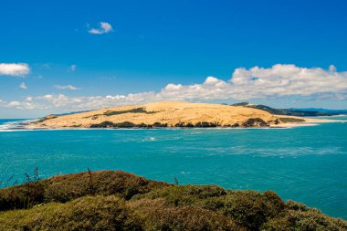 Blue ocean and sand dunes, New Zealand clipart