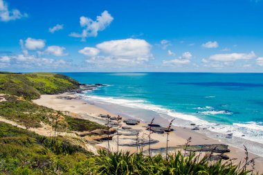 Mavi okyanus ve kumsal, Yeni Zelanda