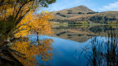Arrowtown 'da altın sonbahar, göl manzarası, Yeni Zelanda