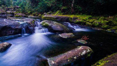 Mangakarengorengo nehri, McLaren Şelalesi, Yeni Zelanda