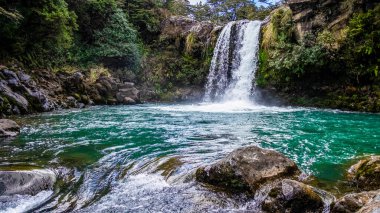 Gollum's Pool, Tawhai Waterfall in Tongariro National Park clipart