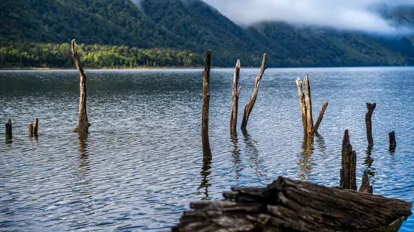 Göl ve dağlar, Yeni Zelanda