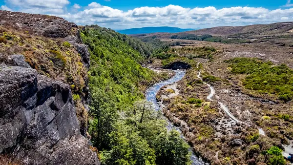 Tongariro Ulusal Parkı 'ndaki Taranaki Şelalesi pisti, nehir kıyısındaki alp çalıları.