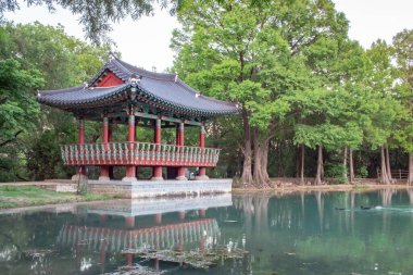 Yeşil bir zümrüt göl boyunca yansıması olan Kore usulü kırmızı pagoda pavyonu. Fotoğraf San Antonio 'daki Denman Estate Park' ta çekildi.
