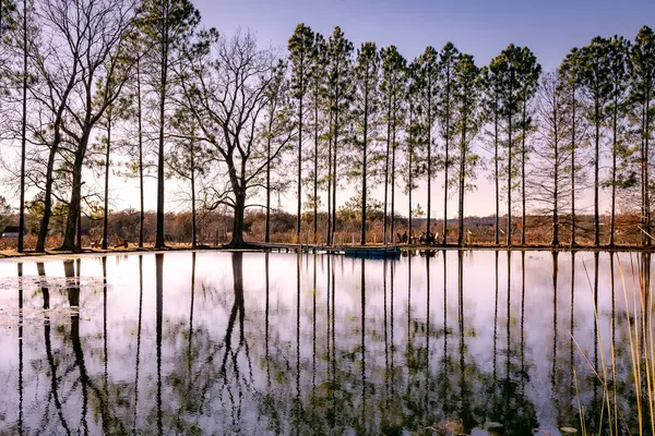 Su boyunca ağaç yansımaları olan sakin manzaralı gölet manzarası. Fotoğraf, Fredericksburg Teksas 'taki Das Peach House Vinyard' da bulutlu bir günde çekildi.
