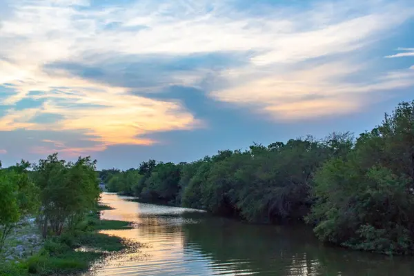 Çalı ve çalıların nehir boyunca yansıdığı doğal bir manzara. Fotoğraf gün batımında San Antonio Riverwalk, San Antonio Teksas 'ta altın saat sırasında çekildi.