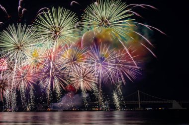 Gece gökyüzünde parlak, güzel, renkli havai fişek kutlaması. Fotoğraf Busan, Güney Kore 'de 2024 Busan Havai fişek Festivali sırasında çekildi.