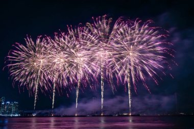 Bright beautiful colorful fireworks celebration in the night sky. Photo taken in Busan, South Korea during the Busan Fireworks Festival 2024 clipart