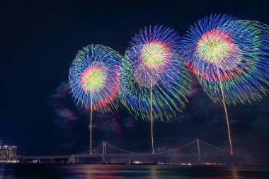 Gece gökyüzünde parlak, güzel, renkli havai fişek kutlaması. Fotoğraf Busan, Güney Kore 'de 2024 Busan Havai fişek Festivali sırasında çekildi.