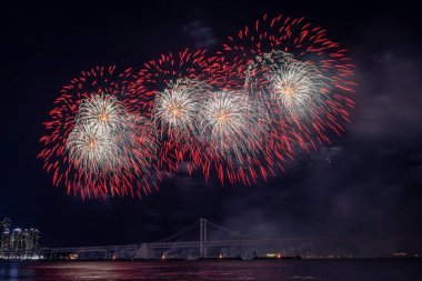 Gece gökyüzünde parlak, güzel, renkli havai fişek kutlaması. Fotoğraf Busan, Güney Kore 'de 2024 Busan Havai fişek Festivali sırasında çekildi.