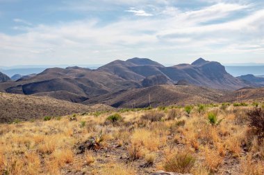 Texas 'taki Big Bend Ulusal Parkı' nda dağ ve çimen manzarası. Fotoğraf açık mavi bir gökyüzünde çekildi.