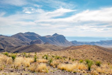 Texas 'taki Big Bend Ulusal Parkı' nda dağ ve çimen manzarası. Fotoğraf açık mavi bir gökyüzünde çekildi.