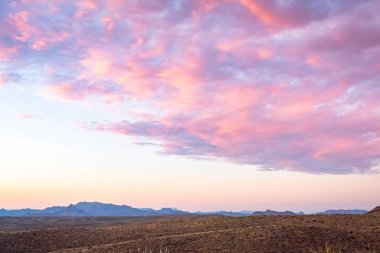 Teksas 'taki Big Bend Ulusal Parkı Çölü' nde çimlerin üzerinde dramatik pembe günbatımı.