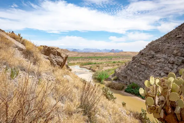 Rio Grande nehir kaktüsü ve Texas 'taki Big Bend Ulusal Parkı manzarası. Fotoğraf açık mavi bir gökyüzünde çekildi.