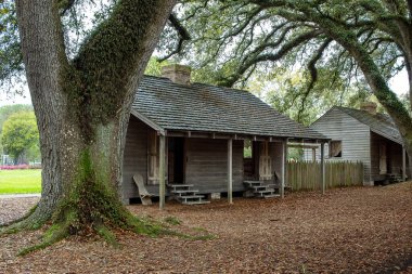Yerde kahverengi yapraklarla çevrili eski ahşap çiftlik evi. Fotoğraf New Orleans Louisiana 'daki Oak Alley Çiftliğinde çekildi.