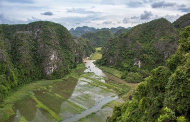 Yeşiller, tropikal orman dağları ve Kızıl Nehir pirinç tarlaları Ninh Binh Vietnam 'daki Hang Mua bakış açısına bakıyor.