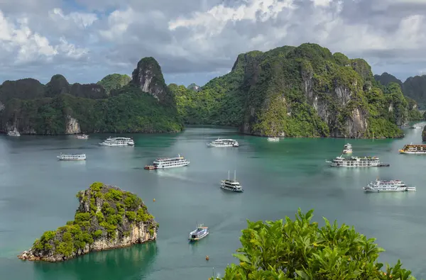 Bereketli tropikal bitkiler, ada kireçtaşı dağları, mavi su ve Vietnam 'daki Halong Körfezi' ndeki okyanus denizi boyunca uzanan tekneler.