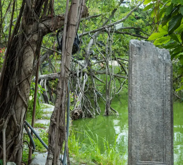 Hoan Keim Gölü 'ndeki Ngc Sn Tapınağı' ndaki yeşil orman göletindeki taş heykel taşı Hanoi Vietnam