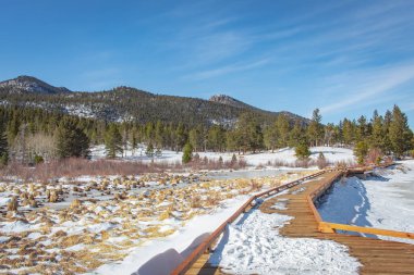 Alp ormanı ve kar, Estes Park Rocky Mountain Ulusal Parkı 'ndaki Lily Gölü' nde orman yürüyüşü yapıyor.