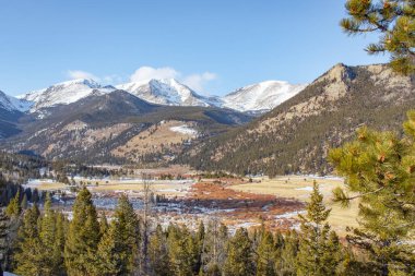 Çam ağacı alp ormanı, dağlar ve Colorado Rocky Dağı Ulusal Parkı 'ndaki kar vadisi.