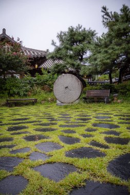 Jeonju, Güney Kore 'de yeşil yosun kaplı taş plaza ve park bankı