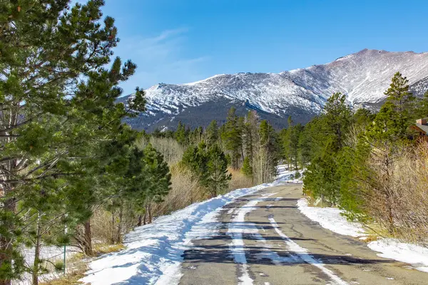 Colorado 'daki Rocky Mountain Ulusal Parkı' na giden yol karları ve çam ağaçları. Fotoğraf açık mavi bir gökyüzünde çekildi.
