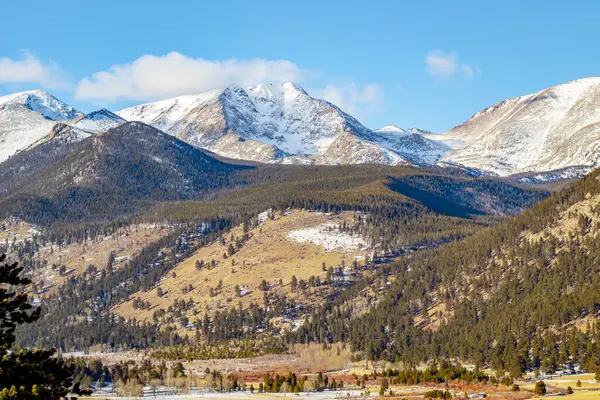 Çam ağacı alp ormanı, dağlar ve Colorado Rocky Dağı Ulusal Parkı 'ndaki kar vadisi.