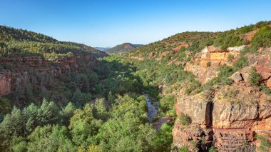 Ağaç ormanı ve Sedona Arizona 'daki Wilson Kanyonu' nun kızıl kayalık manzarası. Fotoğraf açık mavi bir gökyüzünde çekildi.