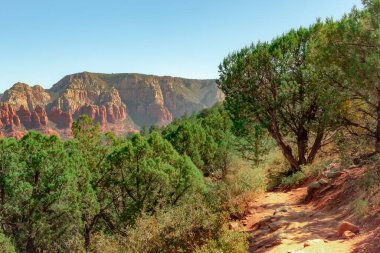 Kızıl kaya uçurumu, dağ ve orman manzarası. Havaalanı Mesa Sedona Arizona 'daki toprak yürüyüş yolu. Fotoğraf açık mavi bir gökyüzünde çekildi.