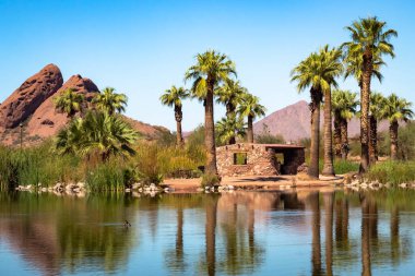 Palmiye ağaçları Phoenix Arizona 'daki Papago Park' ta vaha ve çöldeki dağları yansıtır. Fotoğraf açık mavi bir gökyüzünde çekildi.