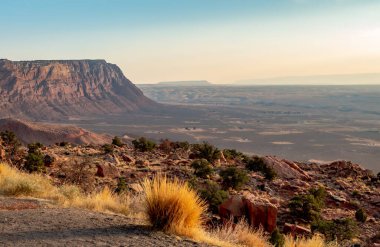Kuzey Arizona Çölü 'nde kırsal alanda altın gün batımı çimen manzarası