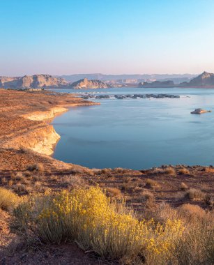 Kuzey Sayfa Arizona 'daki Powell Gölü' nün kayalık çöl dağları ve sarı çiçekleri üzerinde sabah güneşi doğuyor.