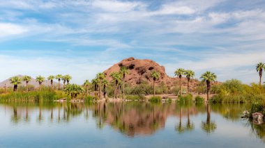 Palmiye ağaçları Phoenix Arizona 'daki Papago Park' ta vaha ve çöldeki dağları yansıtır. Fotoğraf açık mavi bir gökyüzünde çekildi.