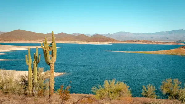 Saguaro kaktüsü ve Phoenix Arizona Sonoran Çölü 'ndeki Pleasant Gölü' ndeki dağlar. Fotoğraf açık mavi bir gökyüzünde çekildi.