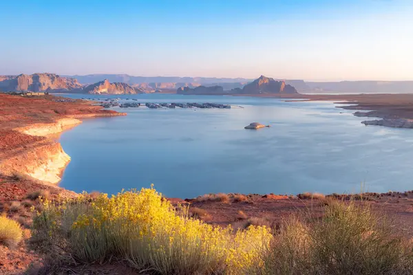 Kuzey Sayfa Arizona 'daki Powell Gölü' nün kayalık çöl dağları ve sarı çiçekleri üzerinde sabah güneşi doğuyor.